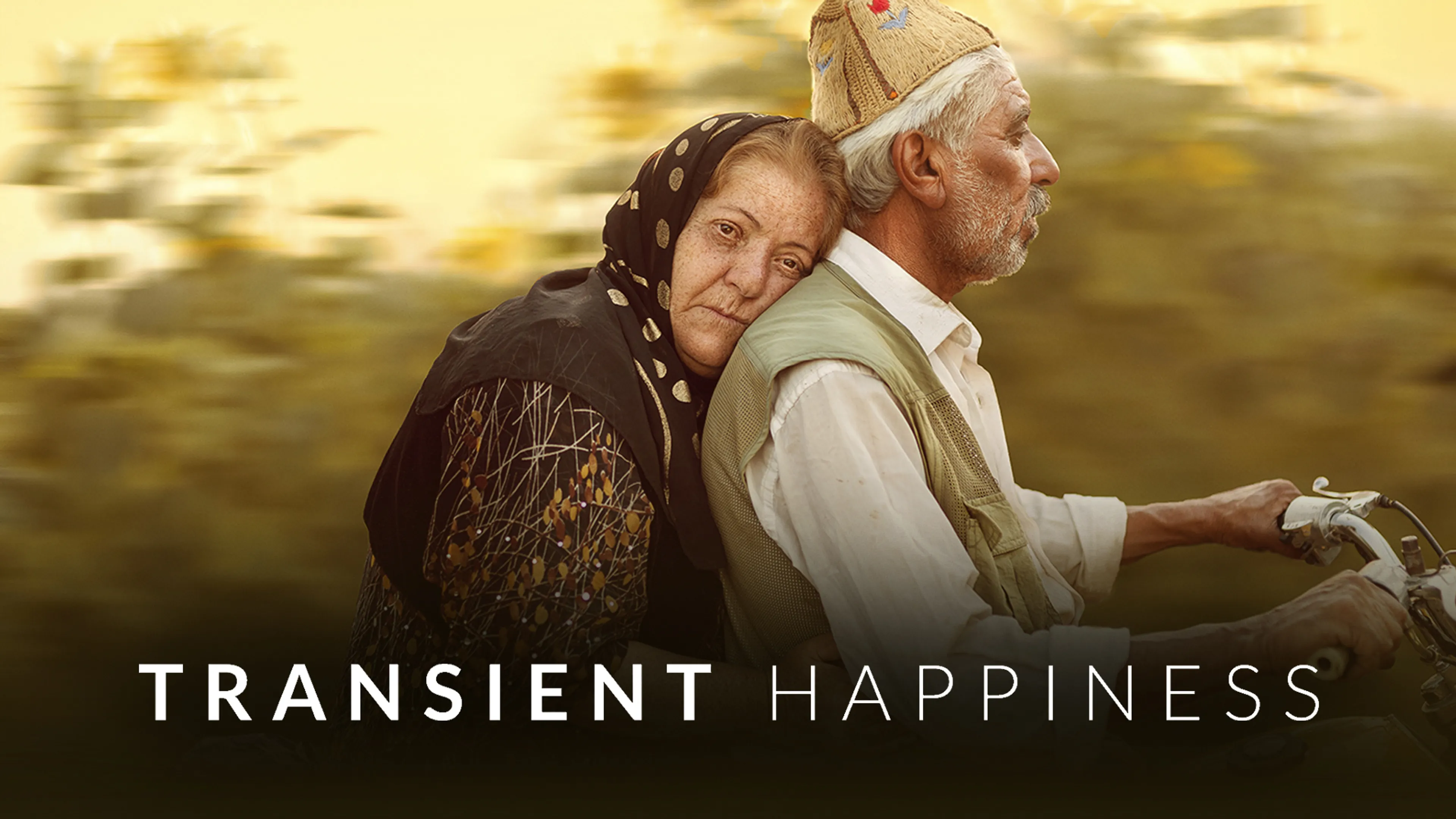 Transient Happiness poster